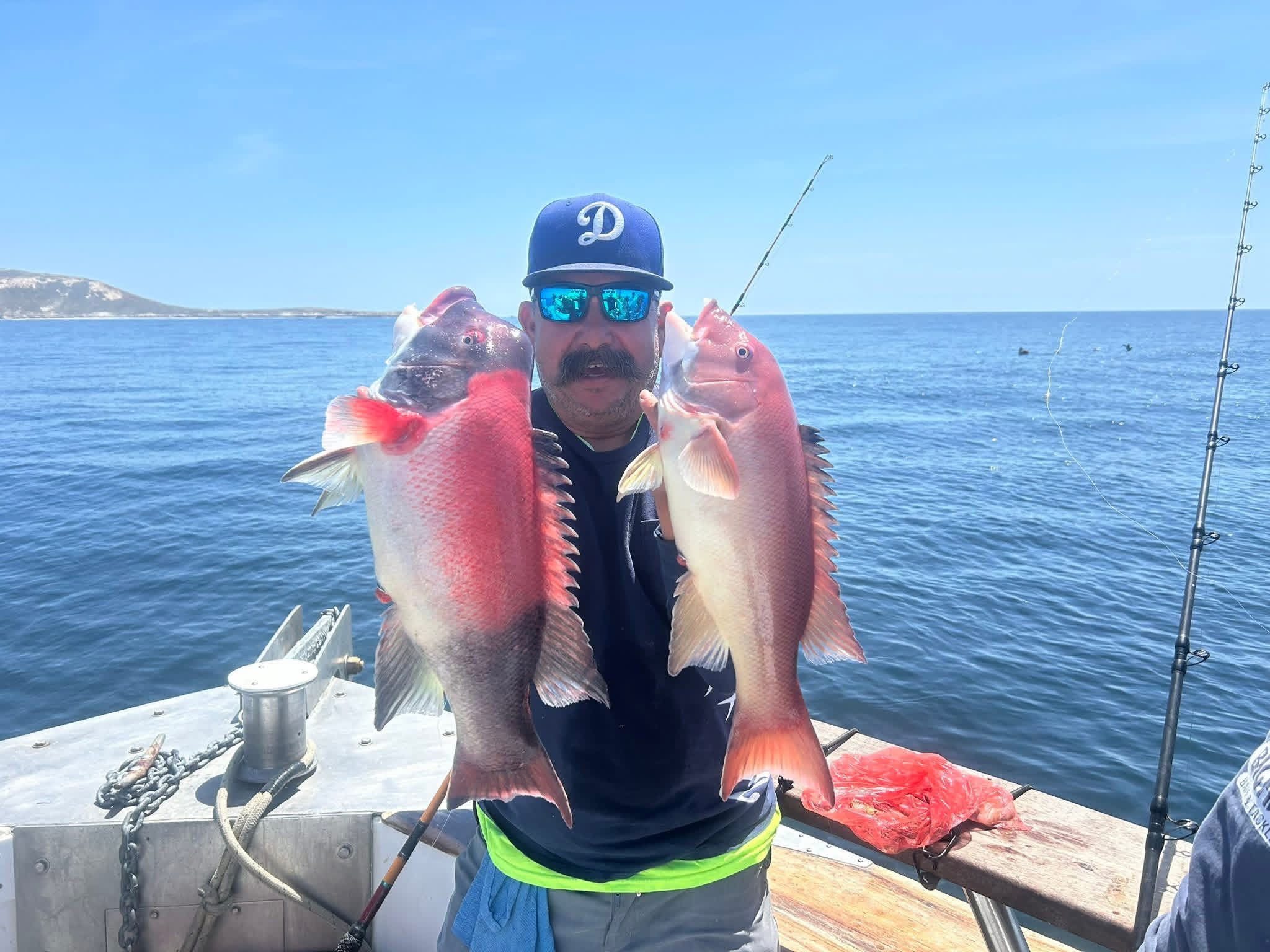 Angler holding two pink fish on boat