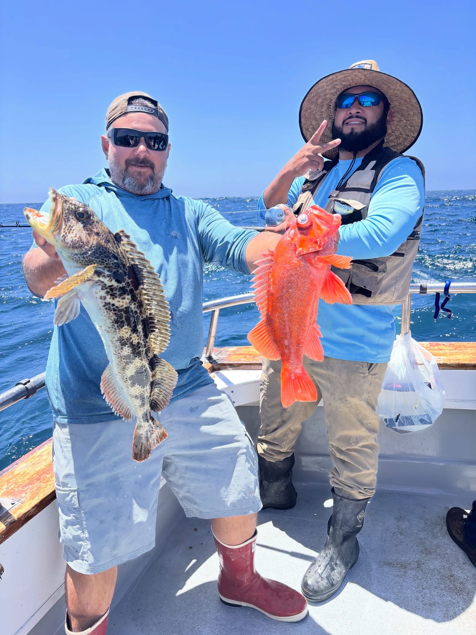 Two fishermen holding large fish on boat