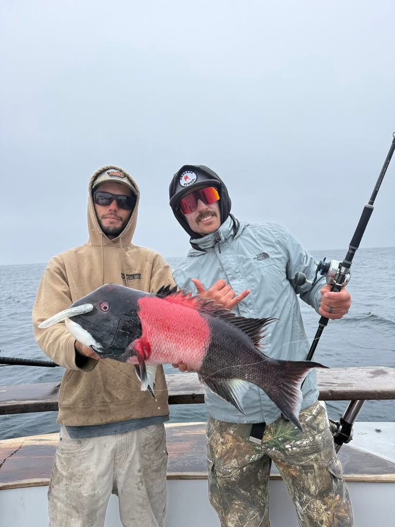Two fishermen holding large red-and-black fish